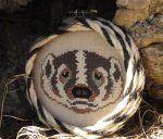 American Badger (image for) American Badger